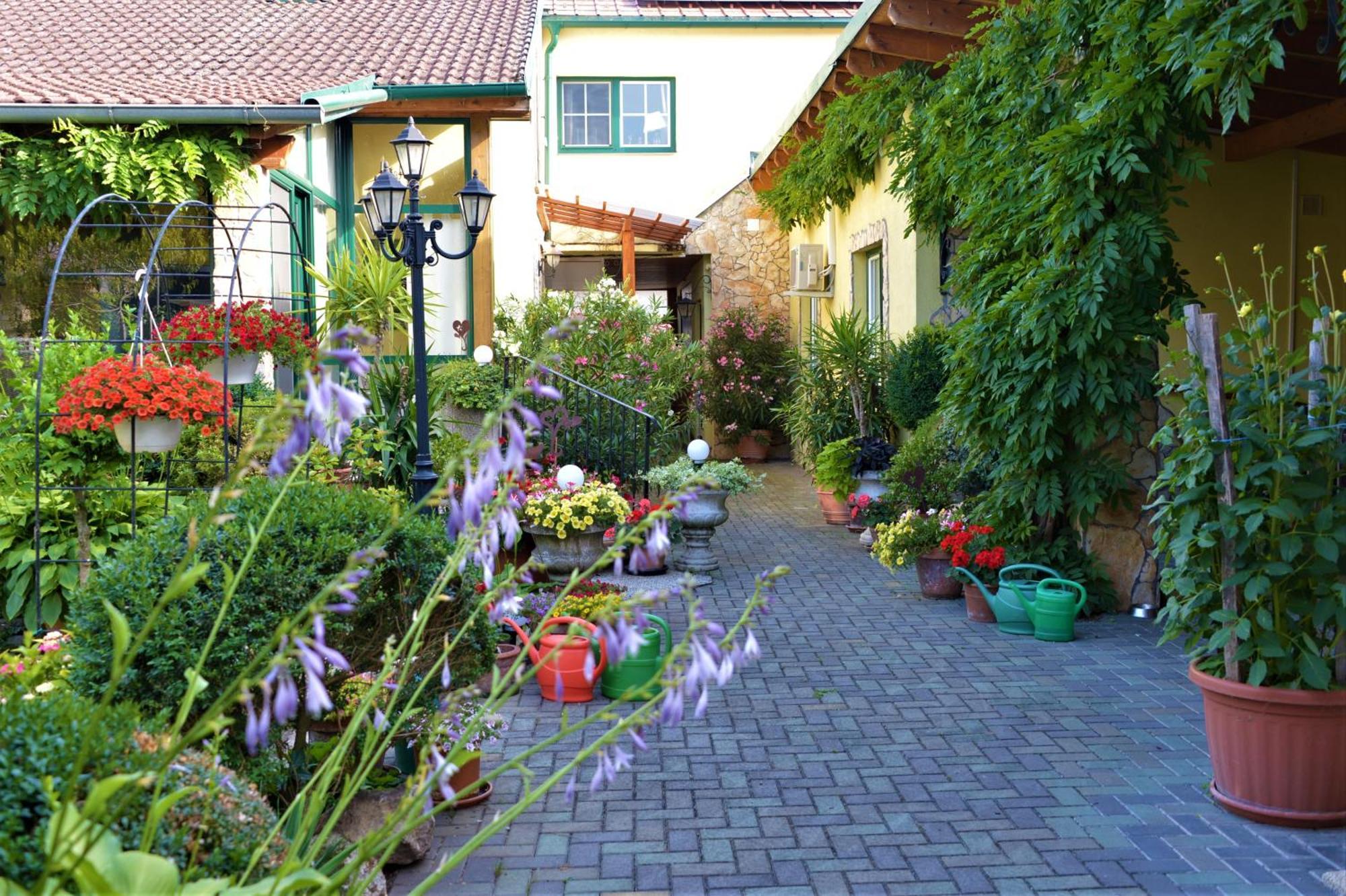 Ferienwohnung Koppi Pamhagen Zewnętrze zdjęcie