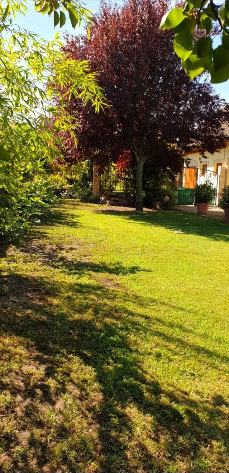 Ferienwohnung Koppi Pamhagen Zewnętrze zdjęcie