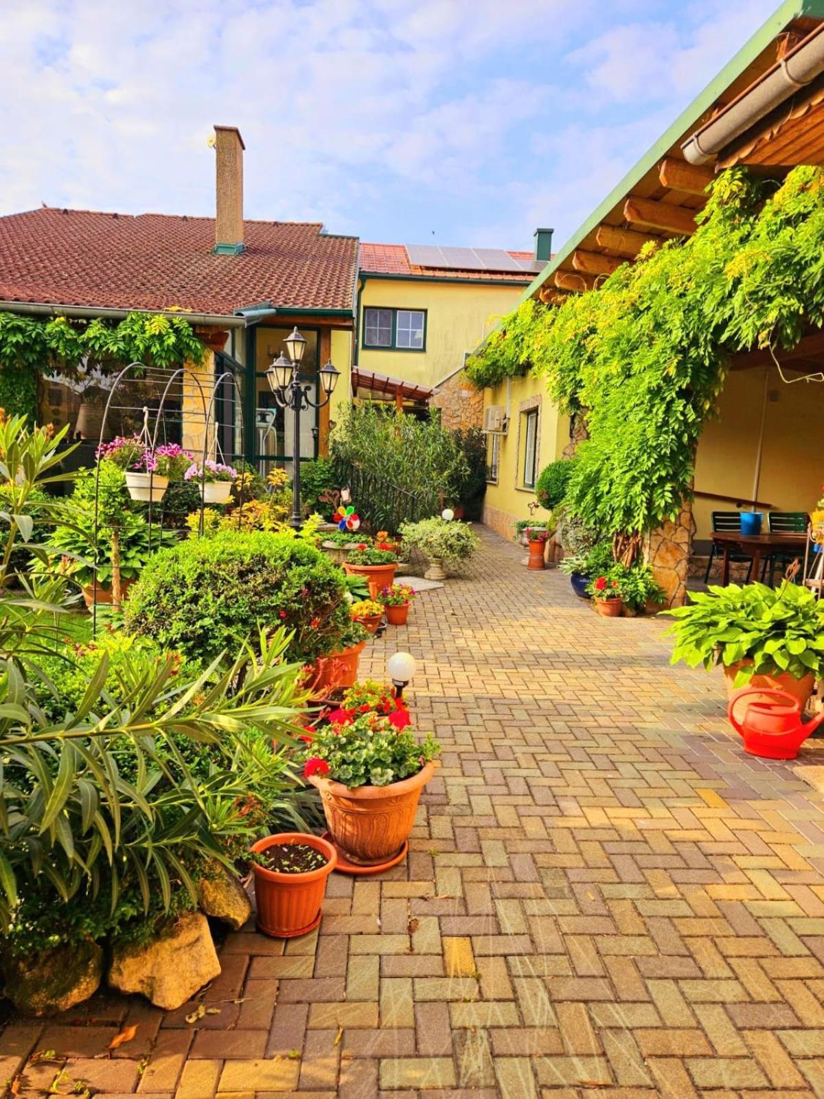 Ferienwohnung Koppi Pamhagen Zewnętrze zdjęcie