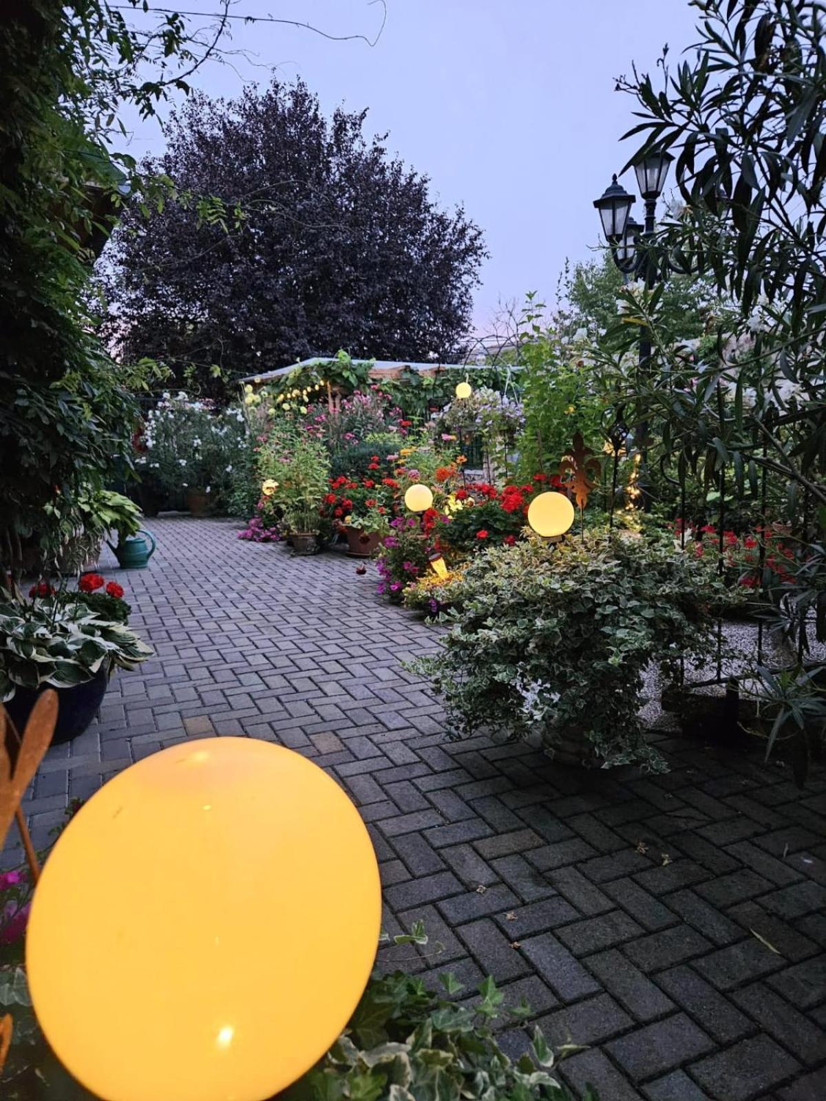 Ferienwohnung Koppi Pamhagen Zewnętrze zdjęcie