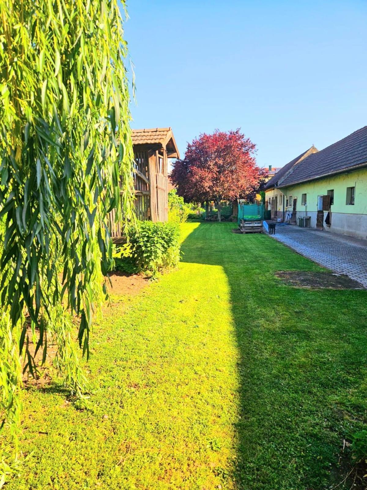Ferienwohnung Koppi Pamhagen Zewnętrze zdjęcie