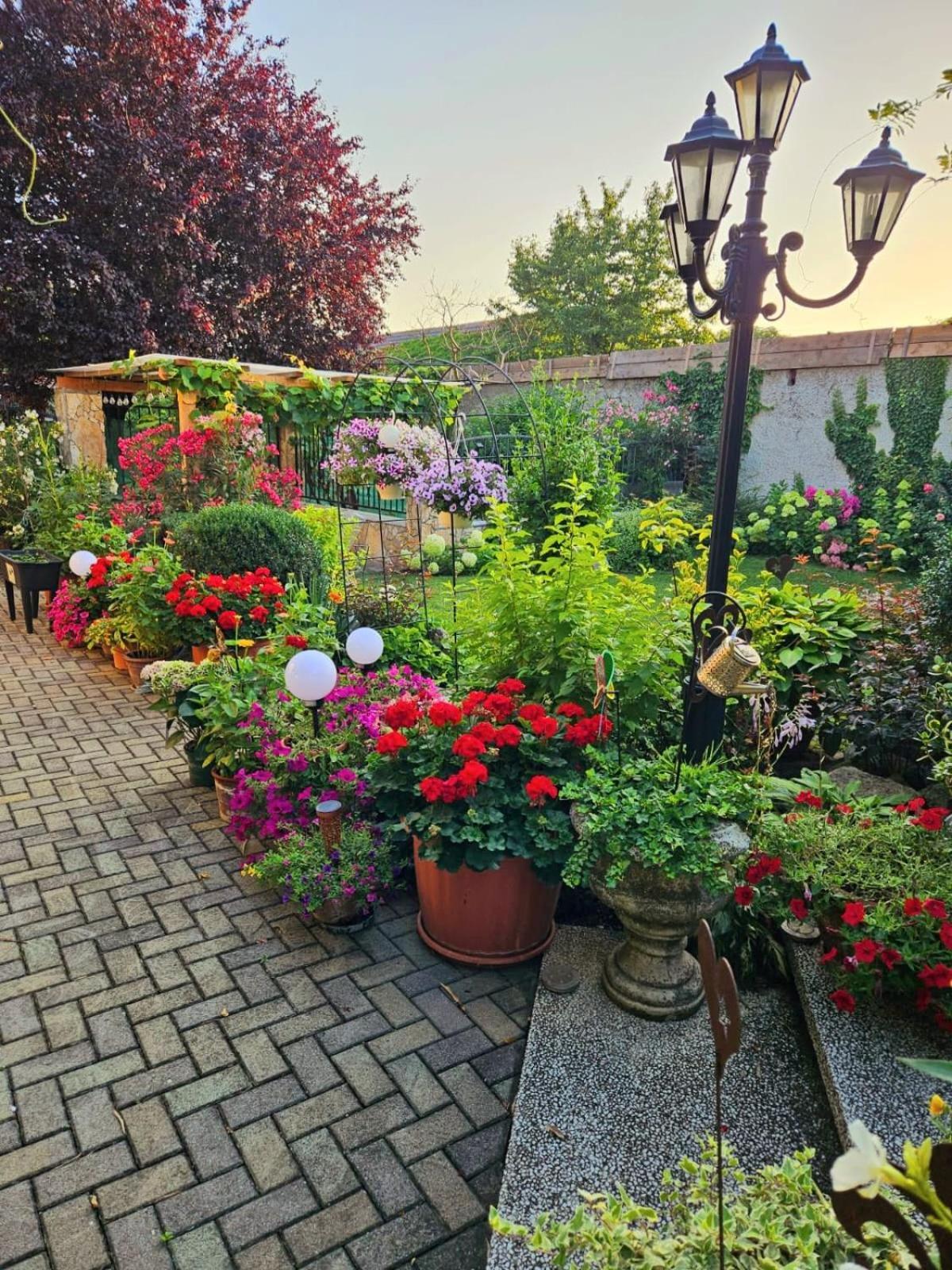 Ferienwohnung Koppi Pamhagen Zewnętrze zdjęcie