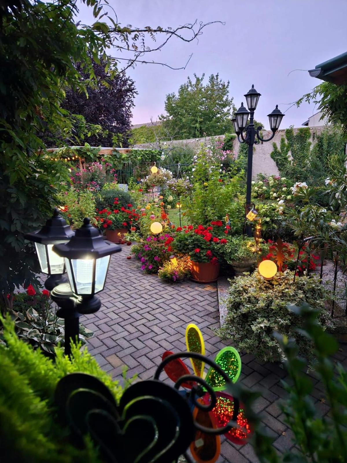 Ferienwohnung Koppi Pamhagen Zewnętrze zdjęcie