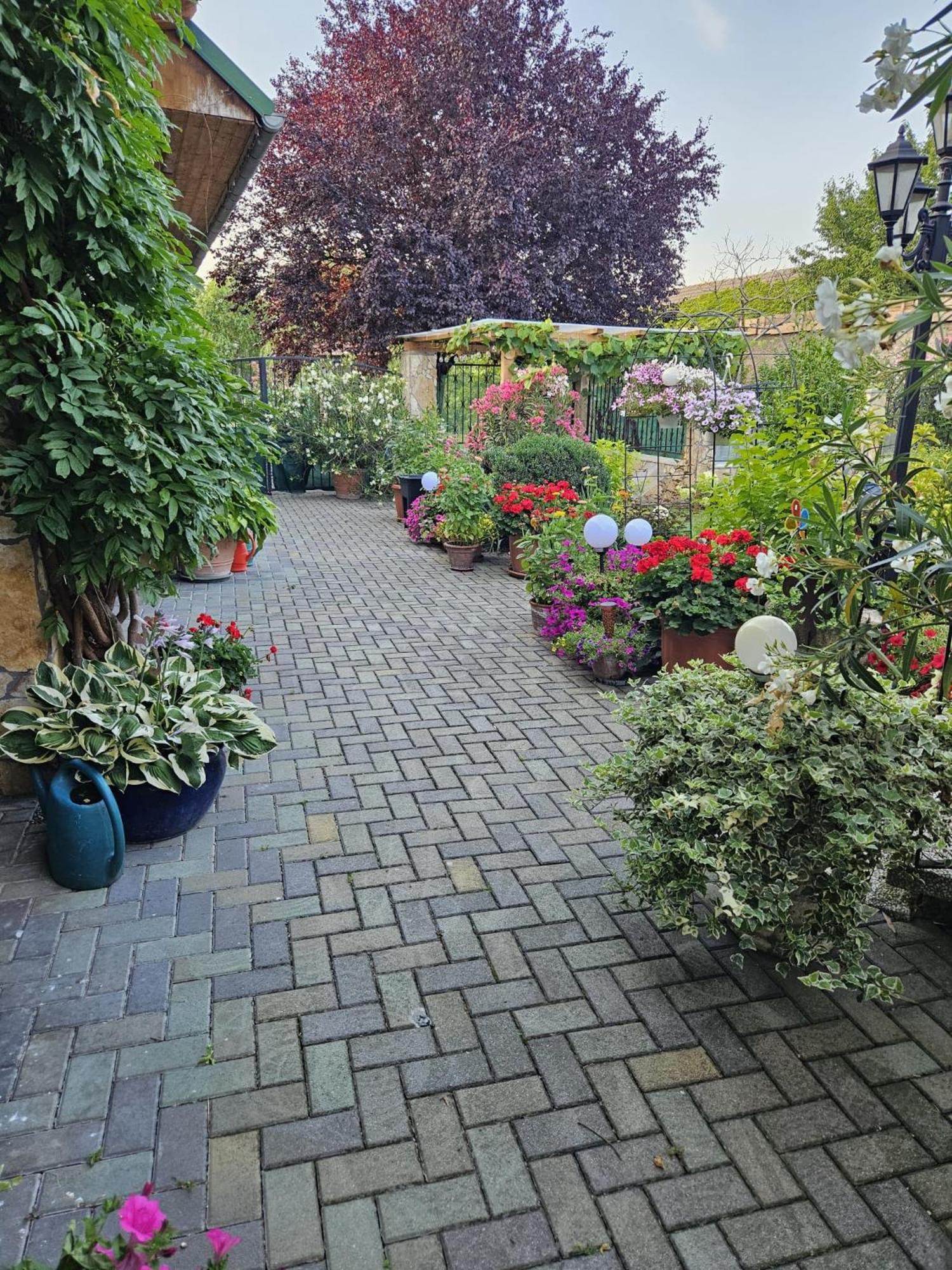 Ferienwohnung Koppi Pamhagen Zewnętrze zdjęcie